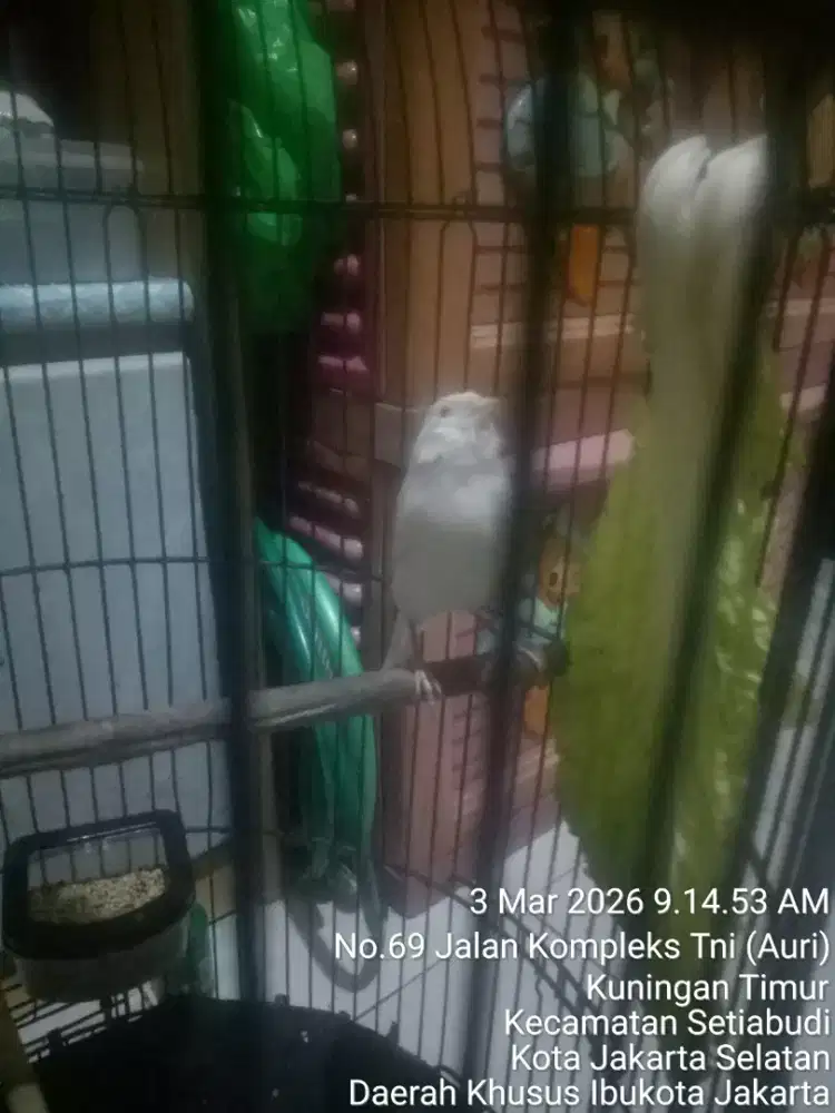 JUAL SANTAI NUNGGU BEDUG