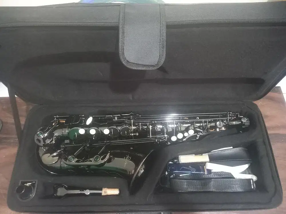 Saxophone Alto Second Paladin JAS920