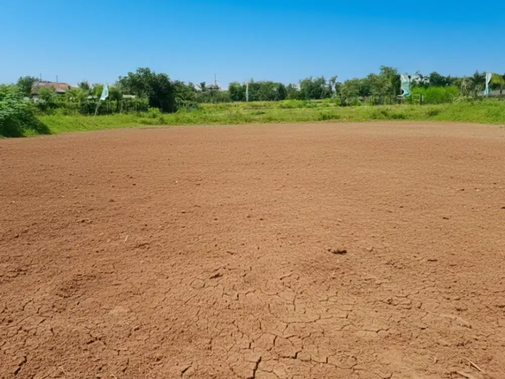 Tanah Selomartani Strategis Dekat Exit Tol Kalasan dan Fasum Lengkap