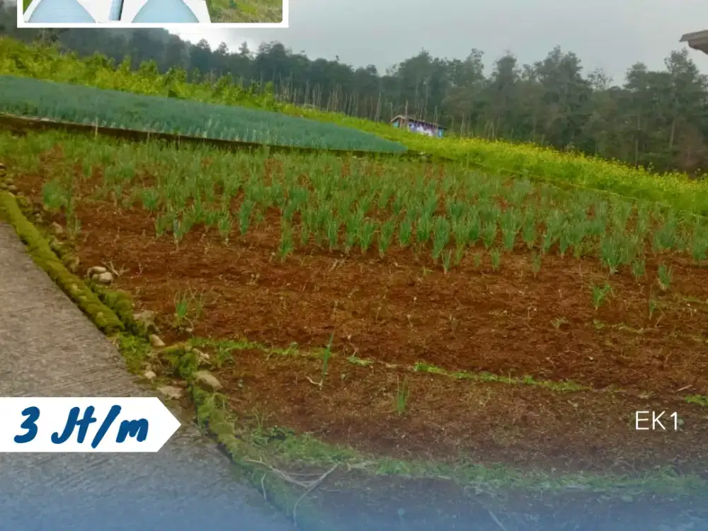 Dijual Tanah Lokasi Blumbang Tawangmangu Karanganyar