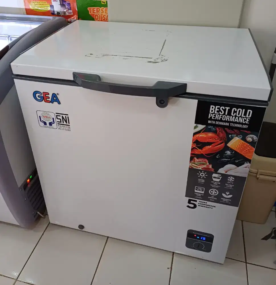 Freezer GEA AB 208R