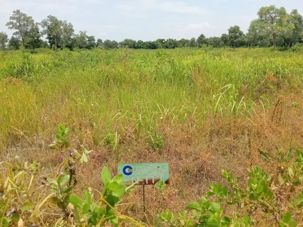 DIJUAL TANAH GRAND ESTATE MARINA CITY MANYAR GRESIK