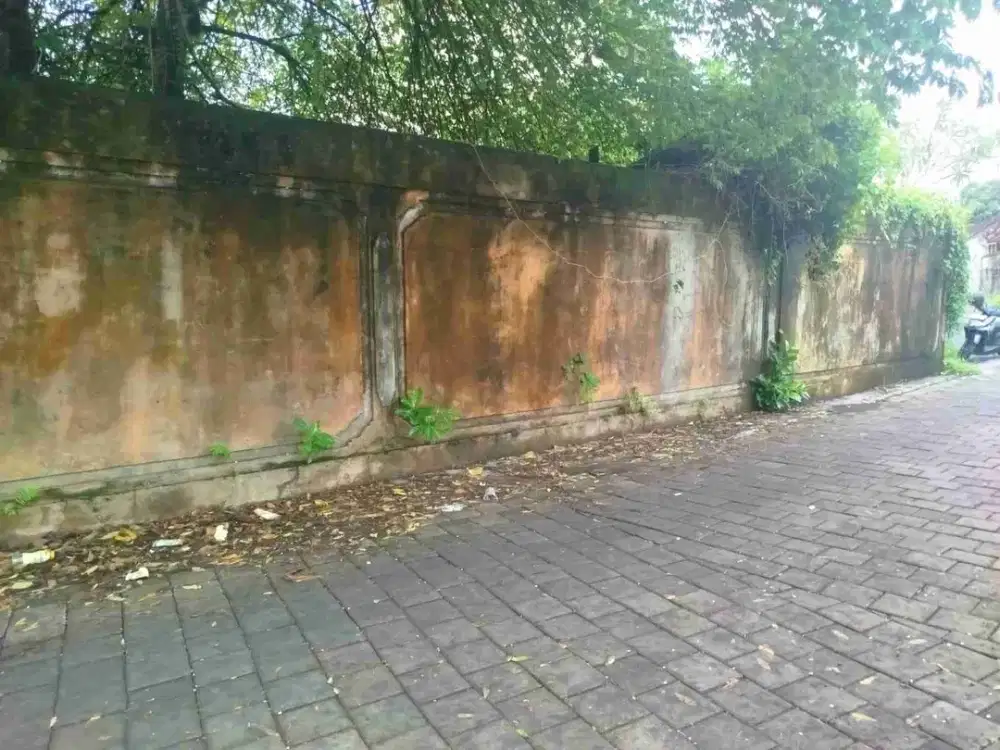 Tamah Luas 2ara/200m² Lokasi Jl Antasura Dekat Warung Mina Cocok untuk di Jadikan Hunian/koskosan/ Investasi Lainnya.