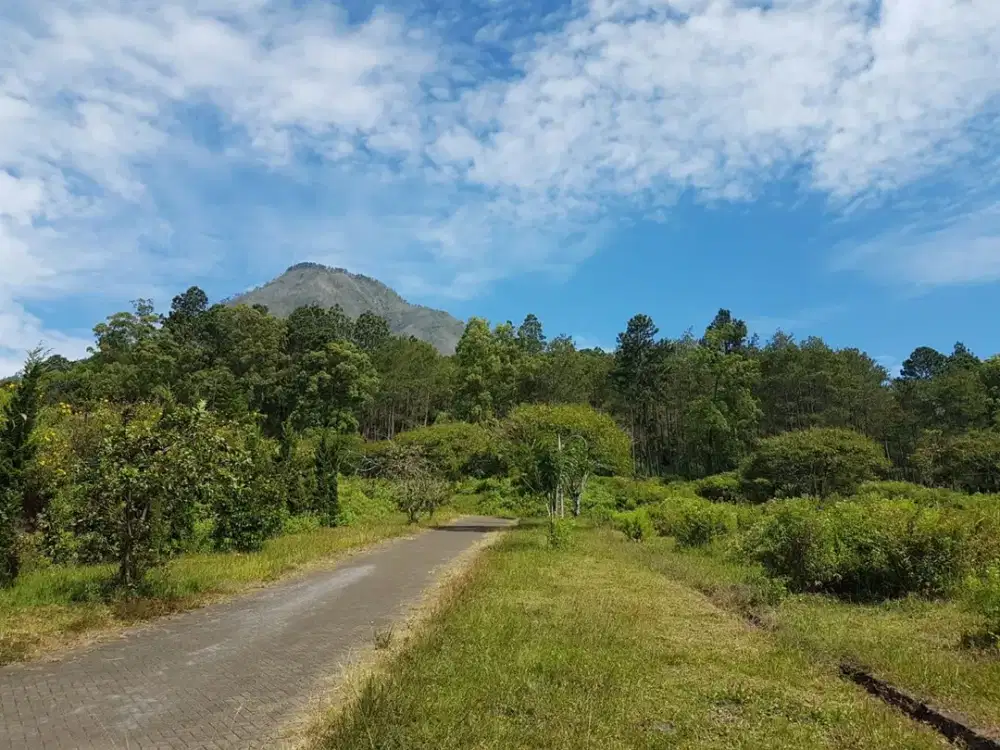 Dijual Tanah, Lokasi Strategis dan View Istimewa di Kota Batu