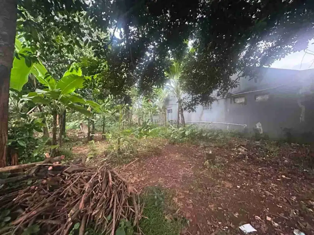 Jual Cepat Tanah Jl Cicayur - Pagedangan