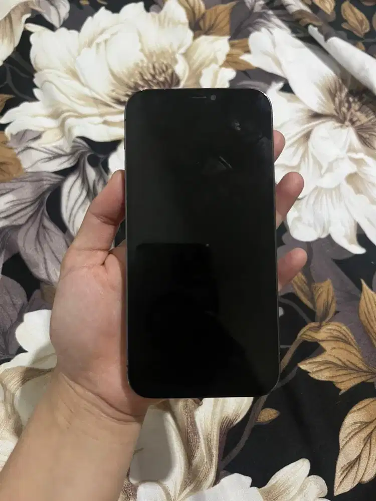 Iphone 12 Pro Inter All Operator