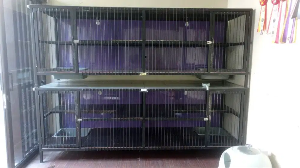 Kandang Kucing Besar