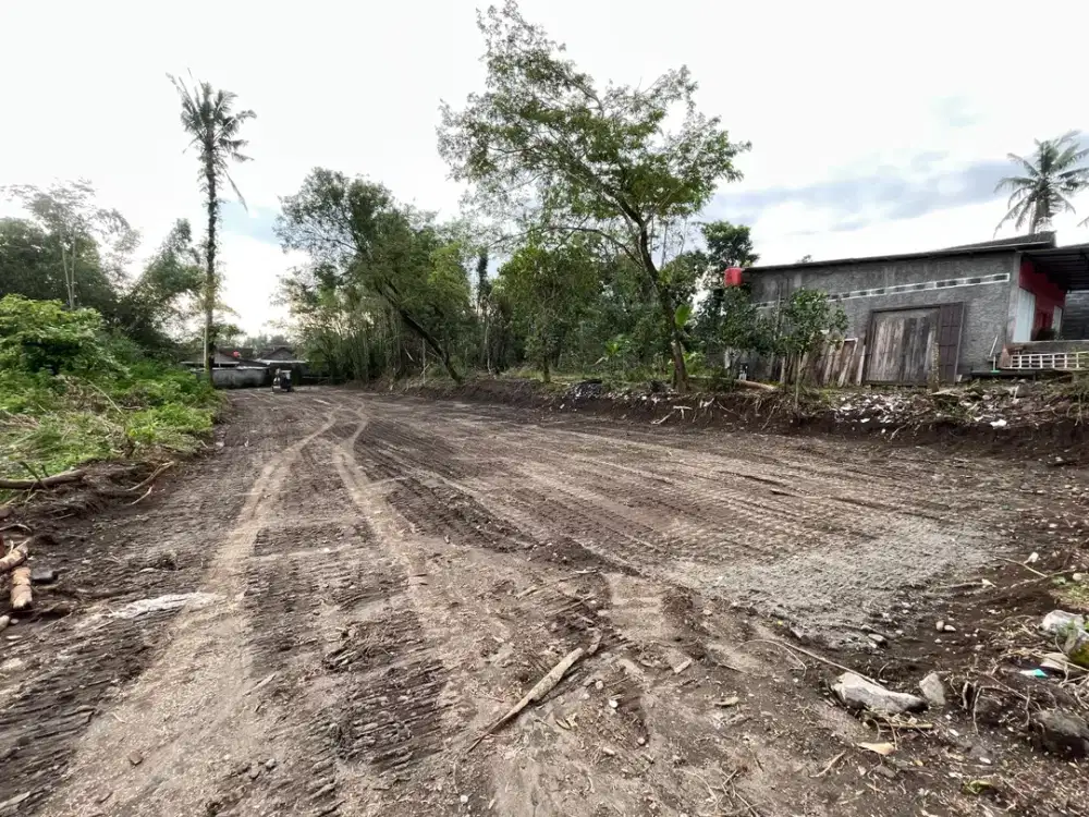 Tanah SHM Area Kalasan Dekat Jl Purwomartani 200jtan Bisa Tempo