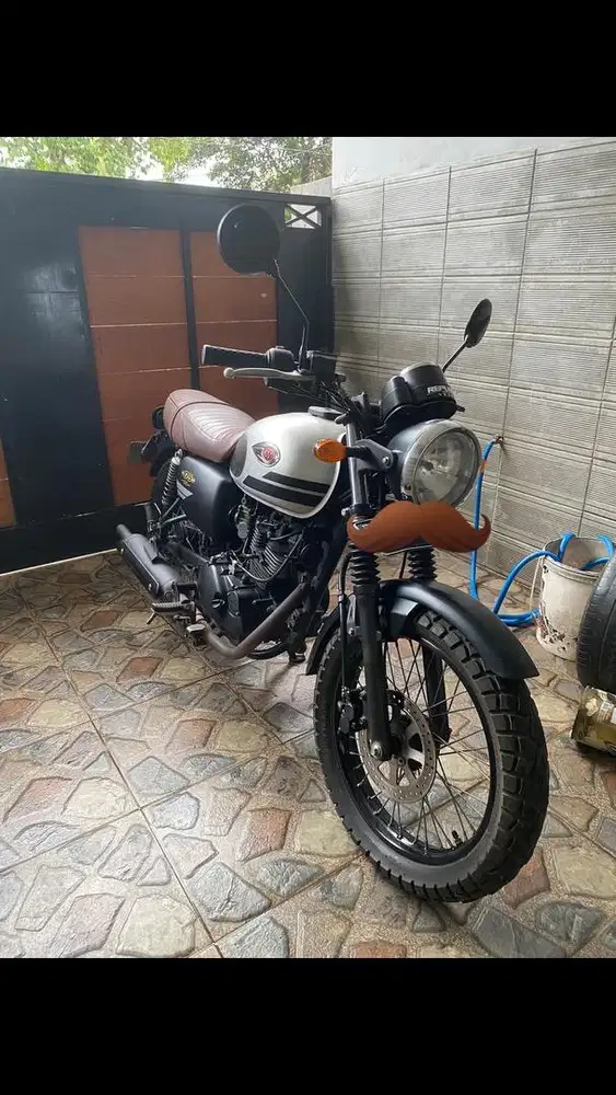 KAWASAKI W175 SE (2019) silver
