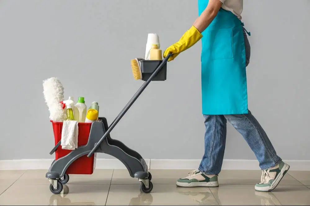 Cleaning Service