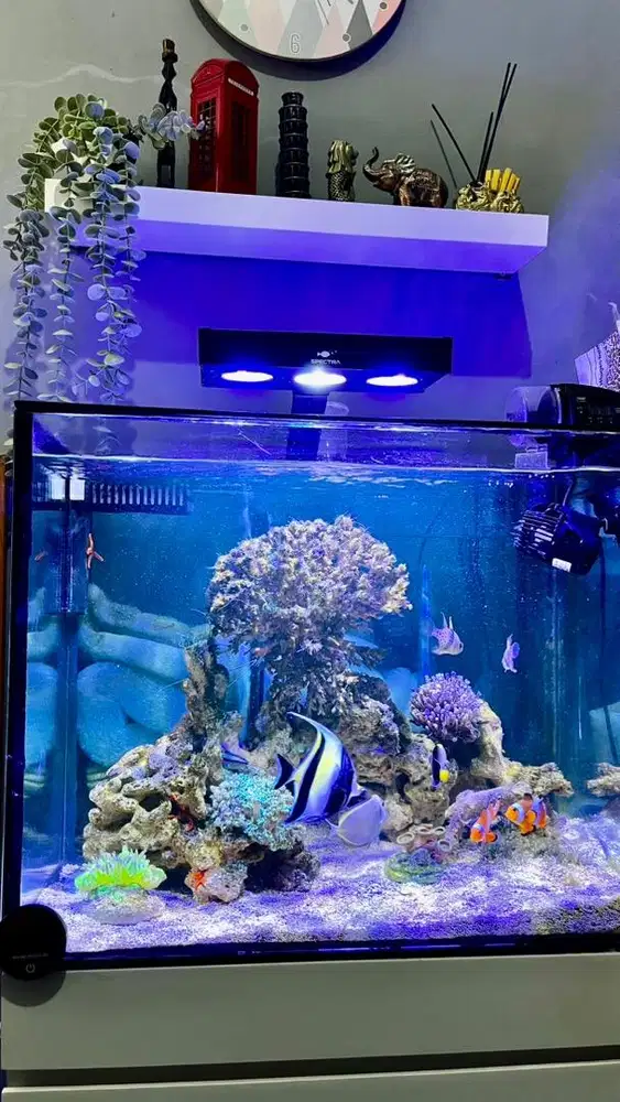 AQUARIUM AIR LAUT
