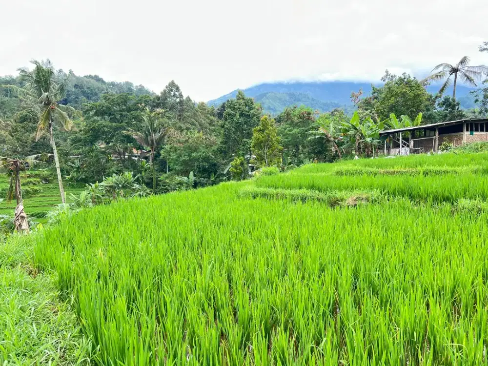 Dijual Tanah Cocok Dibangun Villa/Homestay View Indah Dialiri Sungai