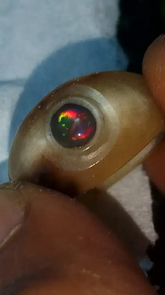 Kalimaya Banten Ring Tanduk 7 pcs