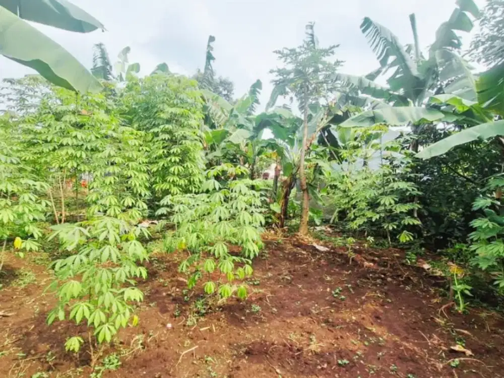 Kavling 396 m² Bandung Kota – Bisa Pecah