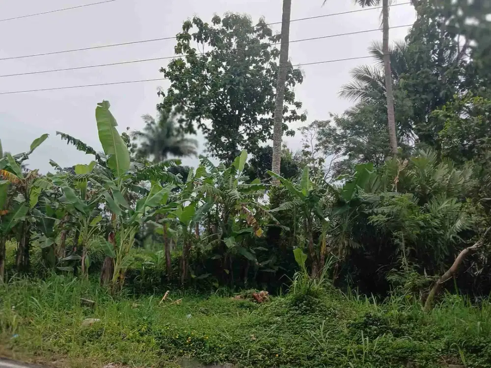 Jual Cepat Tanah SHMS di Pakem Sleman dekat Fasum