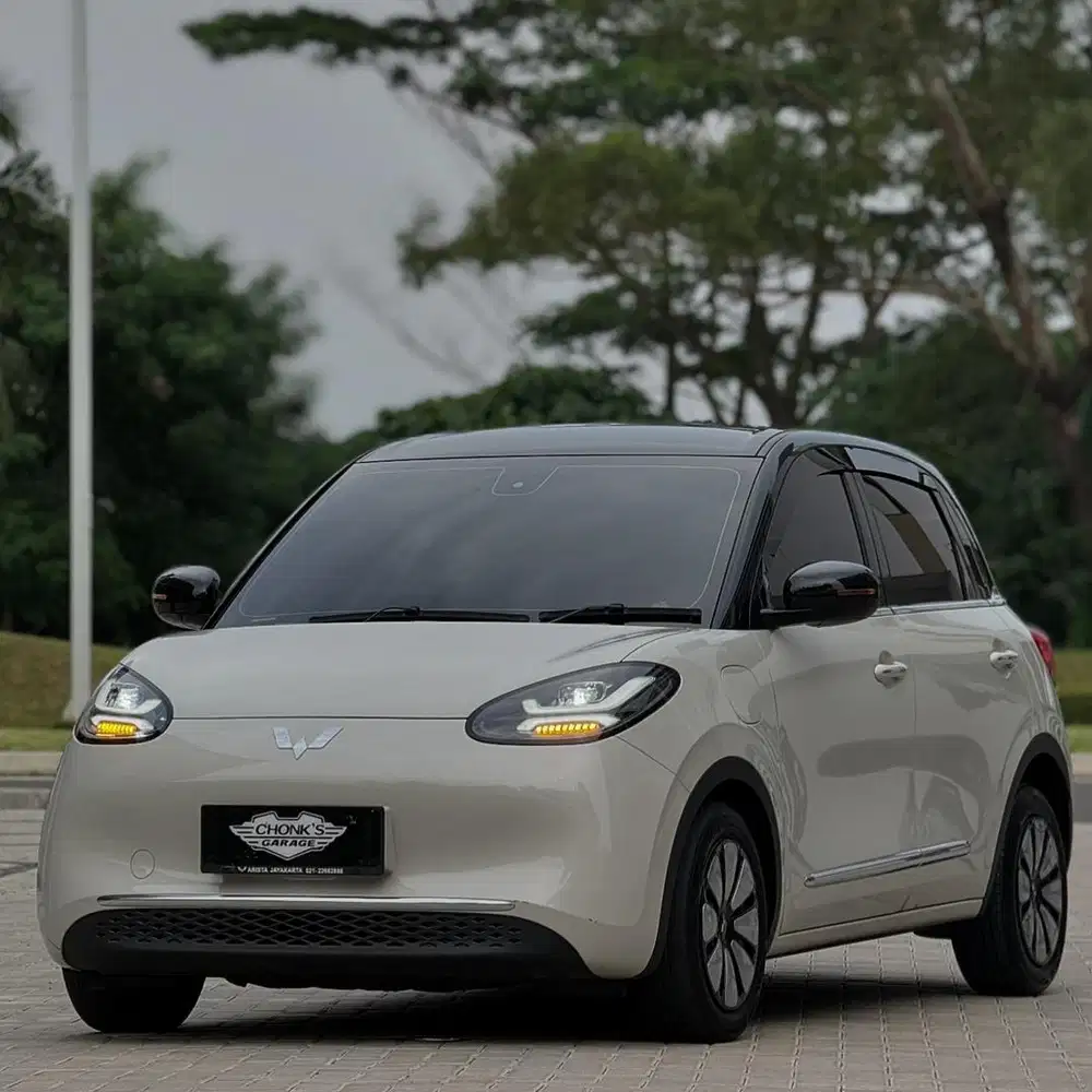 Wuling Binguo Premium Range 410km