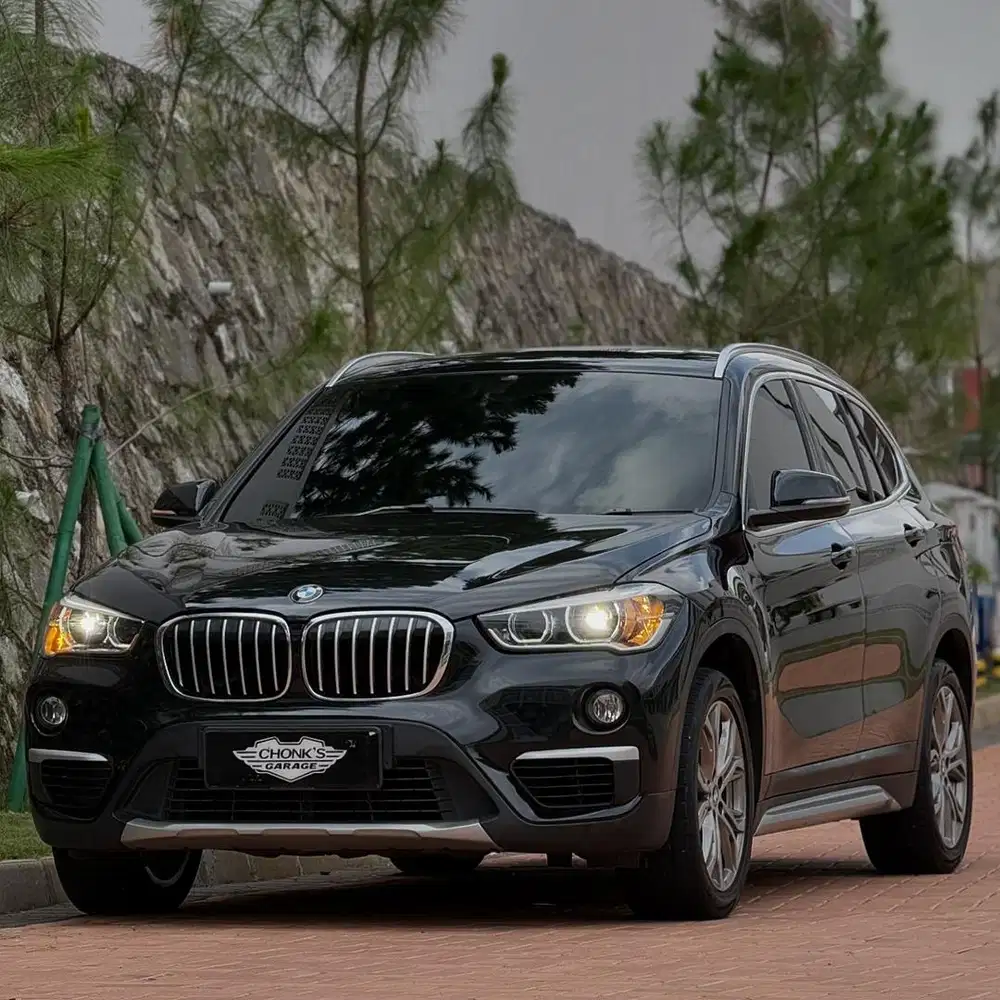 BMW X1 Xline Sdrive18i Full Service Record