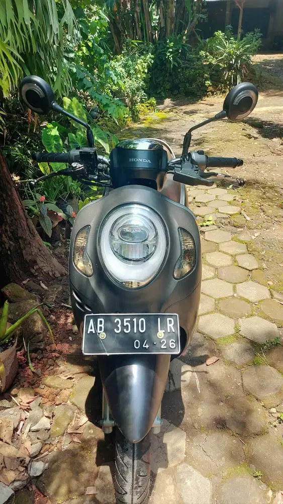 Honda Scoopy 2021 Prestige Matte Grey