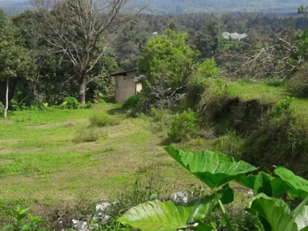 TANAH COCOK UNTUK KEBUN VILLA LOKASI BAGUS DI BEDUGUL TABANAN