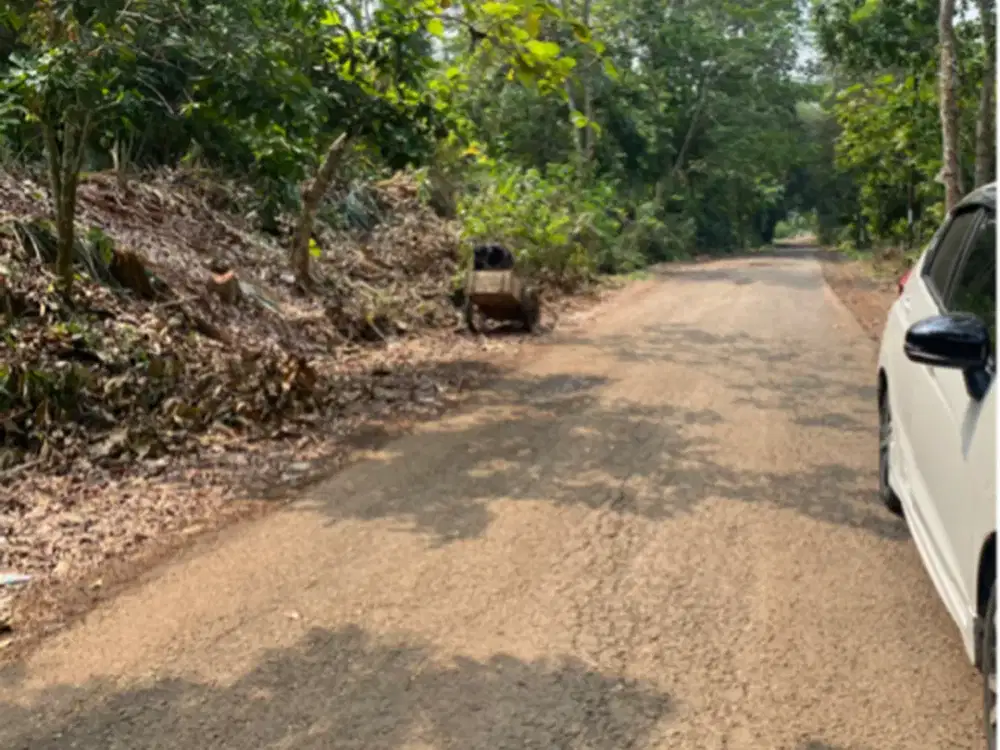 Dijual tanah depan jalan raya kalijati subang bisa dibeli sebagian