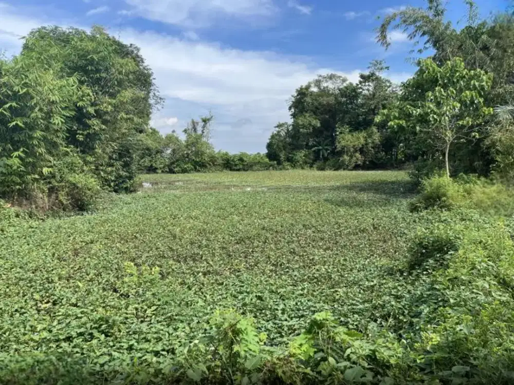 Dijual Tanah Gowa sekitar Jalan Sungguminasa Takalar, Bajeng