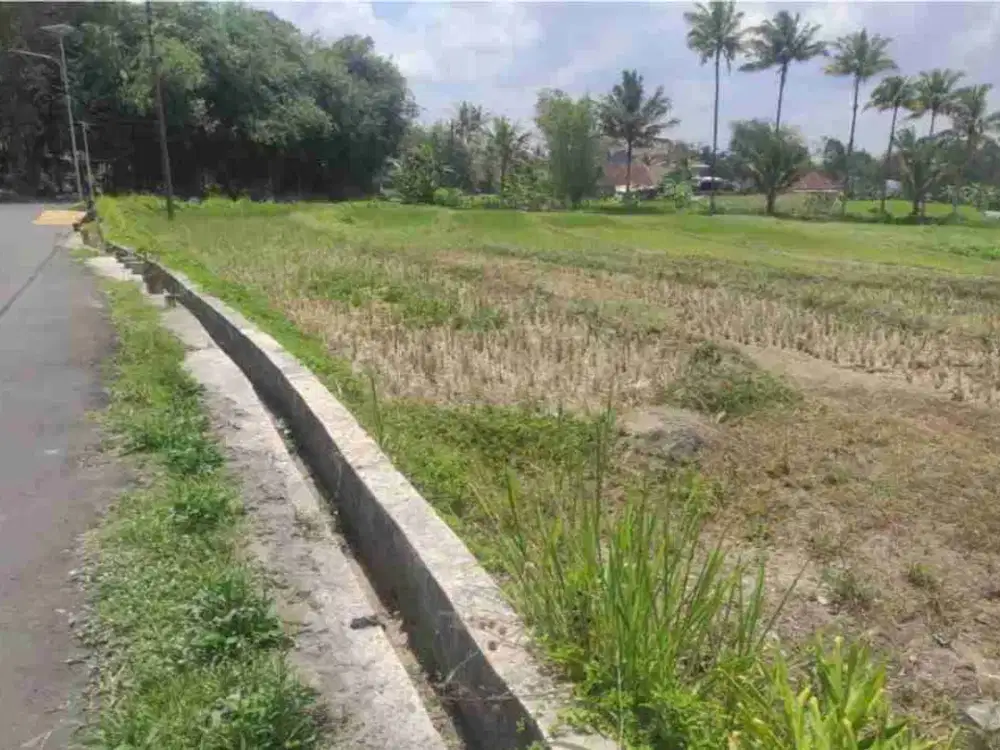 Tanah Asri view Sawah Area Pakem jl. Kaliurang Dekat Pasar Pakem, Kampus UII Dan Kawasan Wisata Jogja Utara