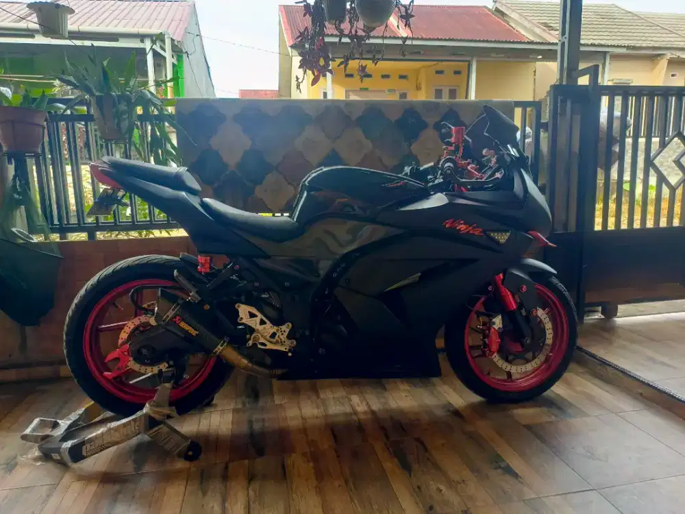Ninja 250R (Karbu)2011