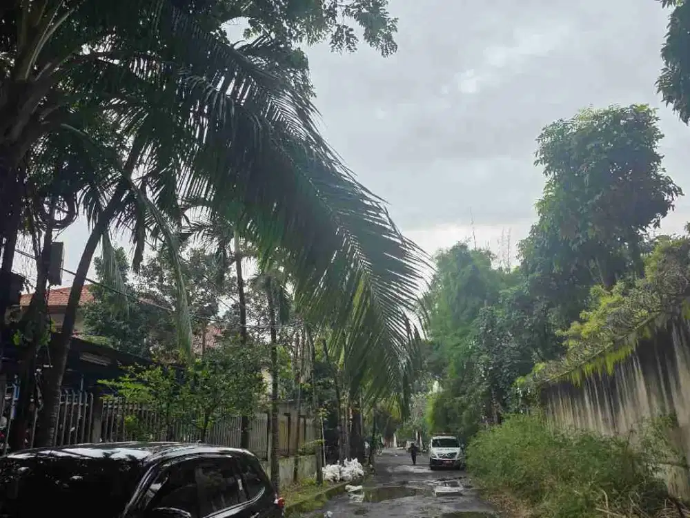 Tanah simprug garden Dijual. Area prime dekat Senayan, Pakubuwono, simprug dan permata hijau

Luas tanah 1.330m 
Tanah Persegi, lebar sekitar 35m
Area tenang, jalan 2 mobil
Skrg jd parkiran mobil

SHM, harga Rp 40 juta/m