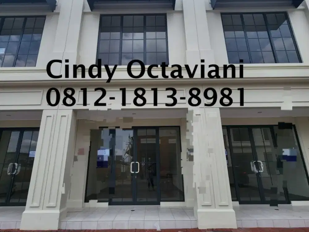 Program Promo Ruko Madison Grande