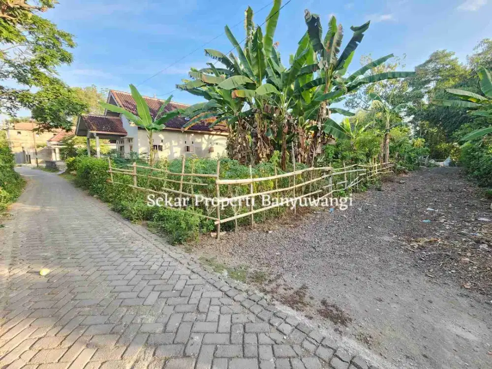 Dijual Tanah Siap Bangun di Pengatigan Rogojampi