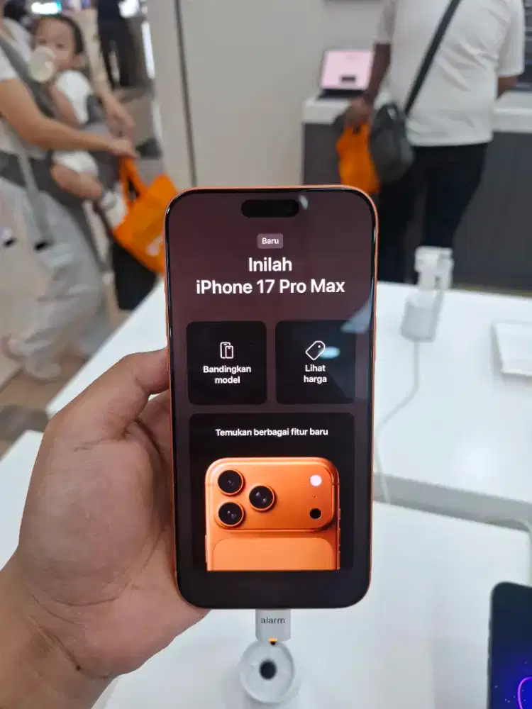 Kredit 17 promax 256