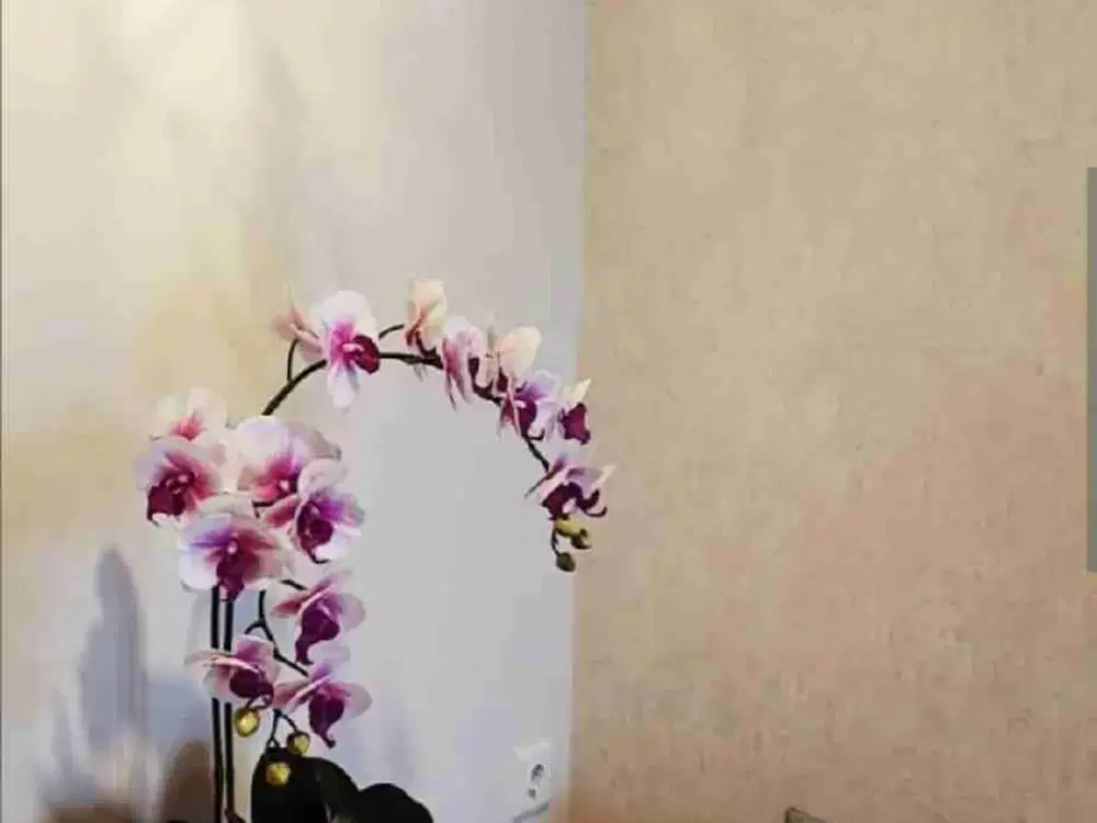 Disewakan Apartemen The Oak Tower B 2BR Full Furnish Lt Tinggi