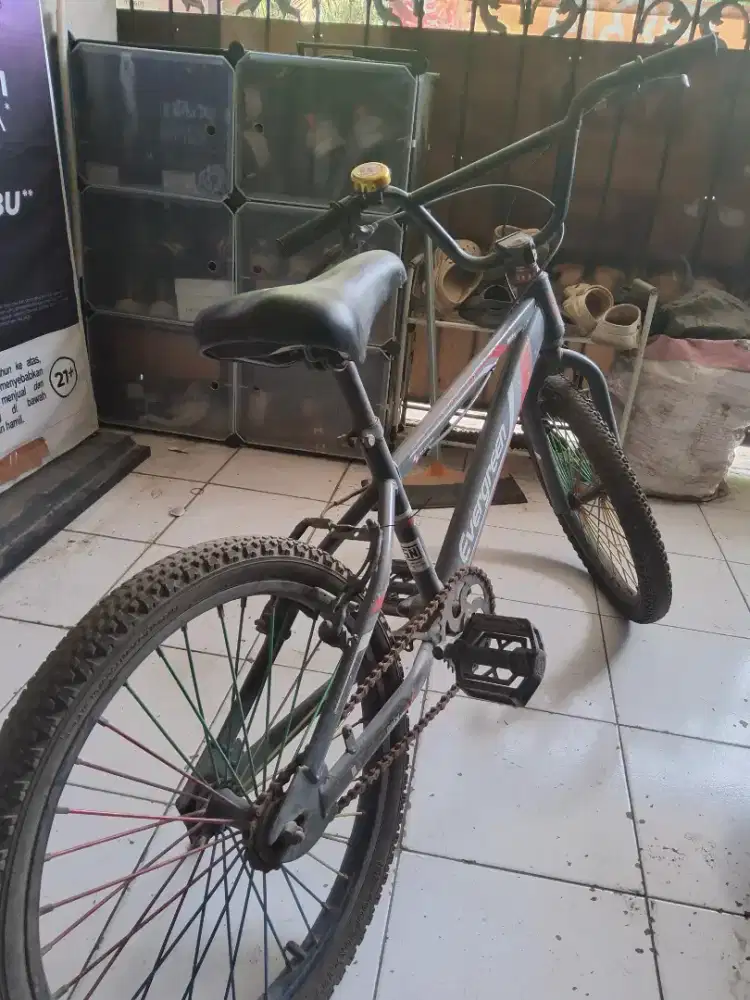 Sepeda bekaa evergreen