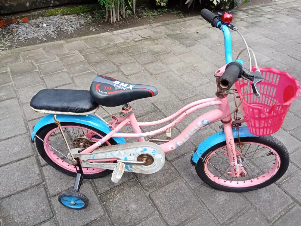 Sepeda anak PACIFIC R 16