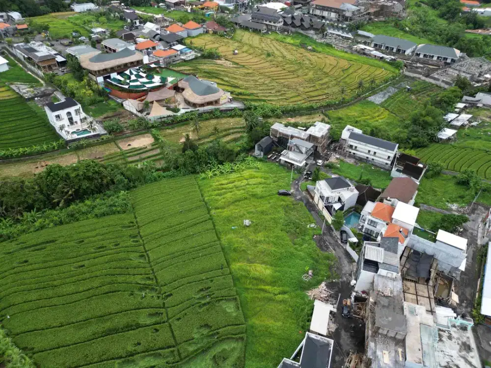 Dijual Tanah SHM Siap Bangun – Pererenan Sempol, Pusat Canggu
Luas 1,5 are | Lingkungan Villa | View Sawah