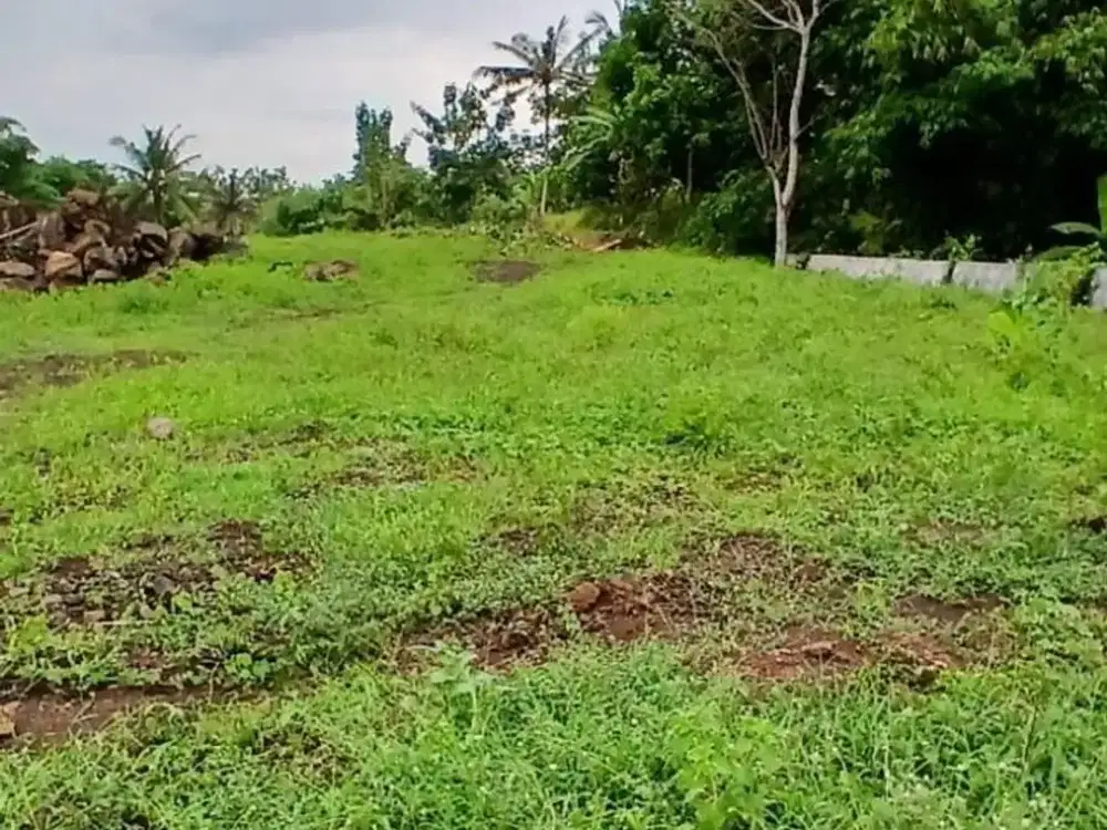 DIJUAL TANAH / LAHAN KERING SIAP BANGUN – ROGOJAMPI, BANYUWANGI