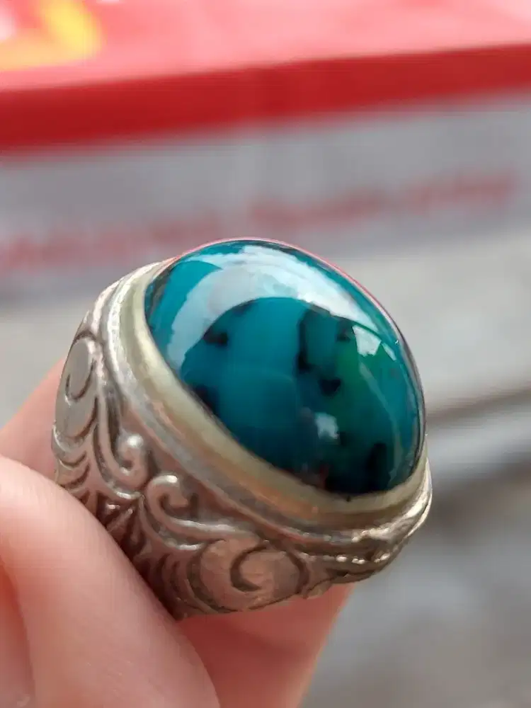 Bacan bluish cemong