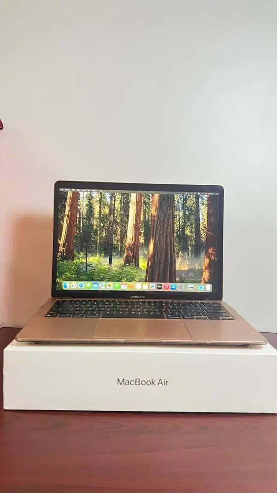 Macbook Air M1 13inch Ram 8 SSD 256 rosegold