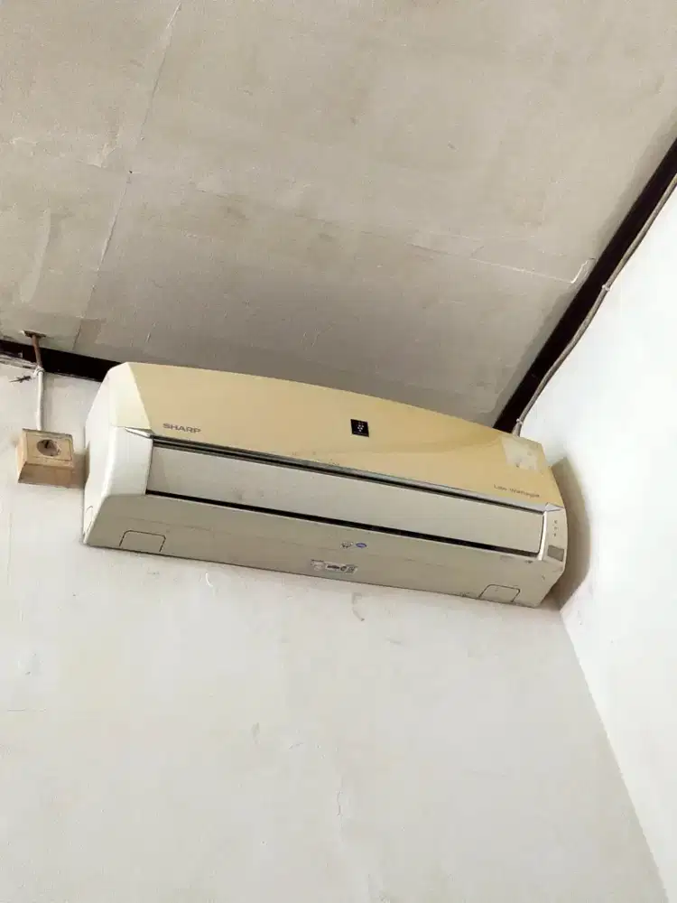 Ac Sharp 1/2 Pk fullset