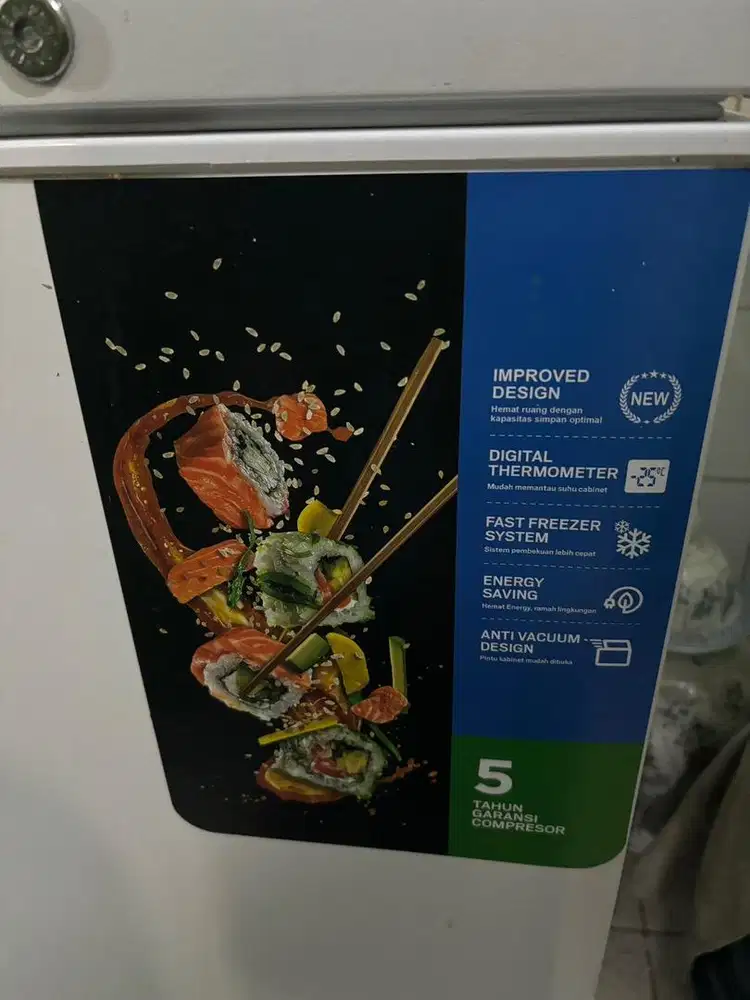 kulkas RSA Chest Freezer (peti pembeku)