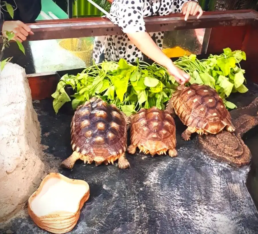 Lowongan kerja area jakarta timur - adm outlet pet