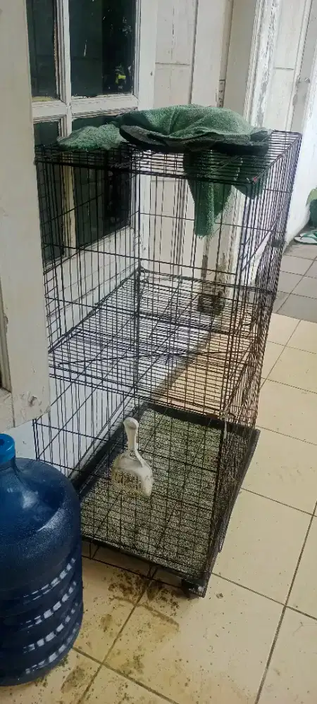 Kandang kucing Besar Tingkat