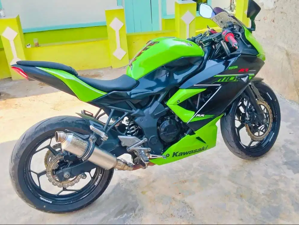 Ninja 250 Mono SL