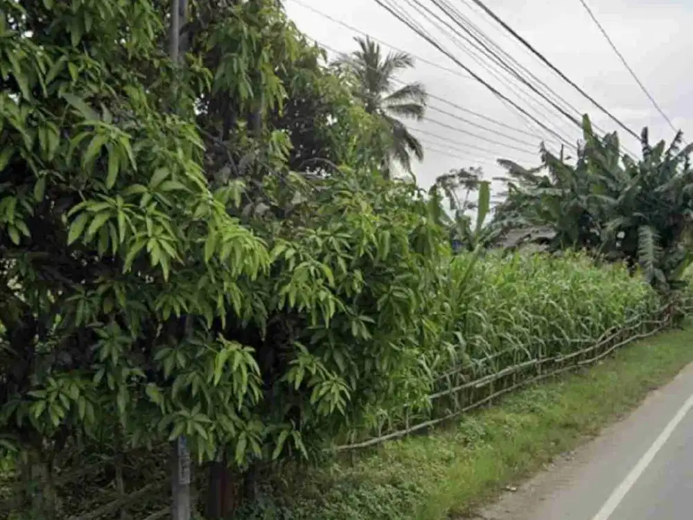 TANAH SHM DEPAN BATALYON JALAN RAYA WANGON BANYUMAS