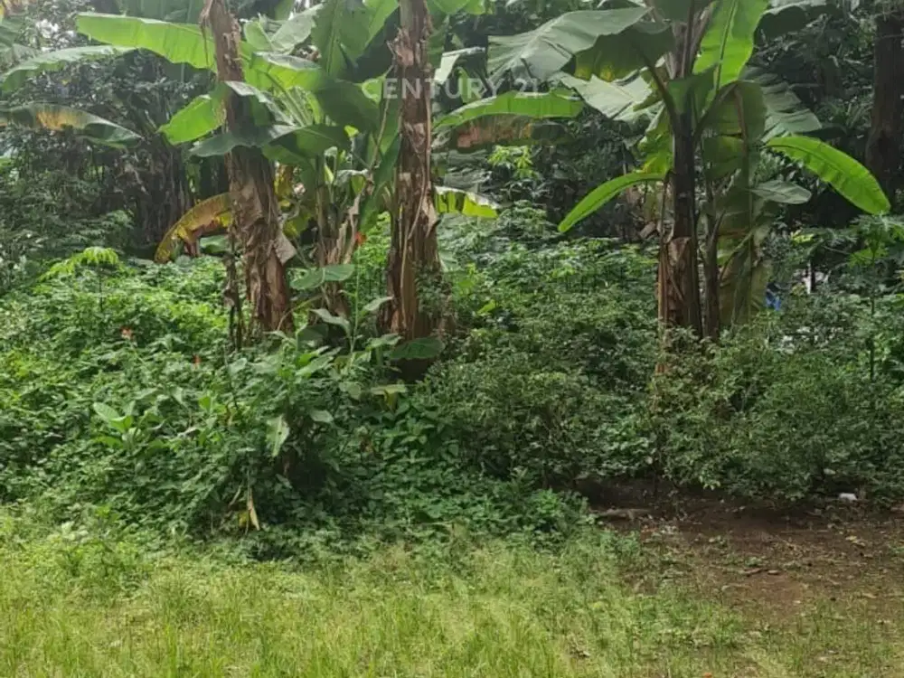 Dijual Tanah Luas Dan Strategis Dekat Kebayoran Bintaro Sektor 7