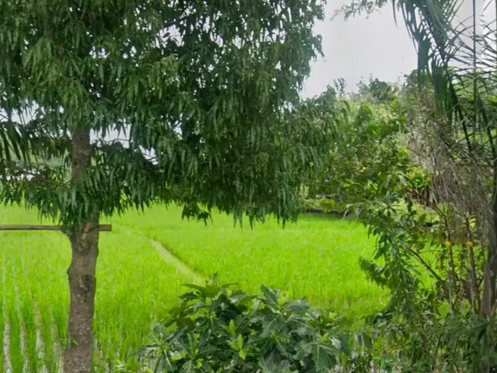 Tanah Komersial di Pinggir Jalan Raya Besar Sumber, Cirebon