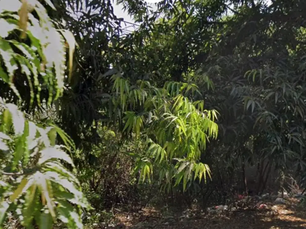 Kavling Komersial di Jalur Weru-Sumber, Cirebon