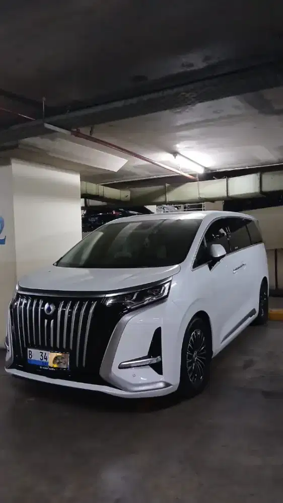 (OWNER) DENZA D9 2025 PREMIUM PPF