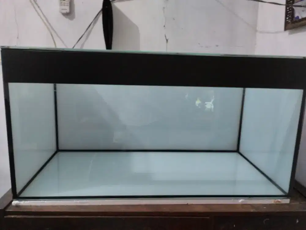 Akuarium L 100  T 50 P 50