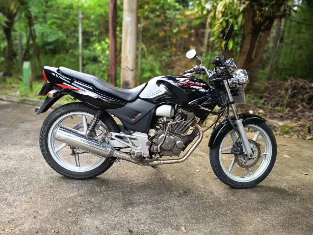 Tiger Lawas Antik 2001